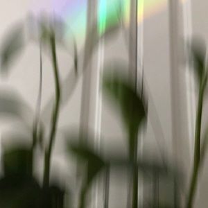 Meet your Posher, Hung